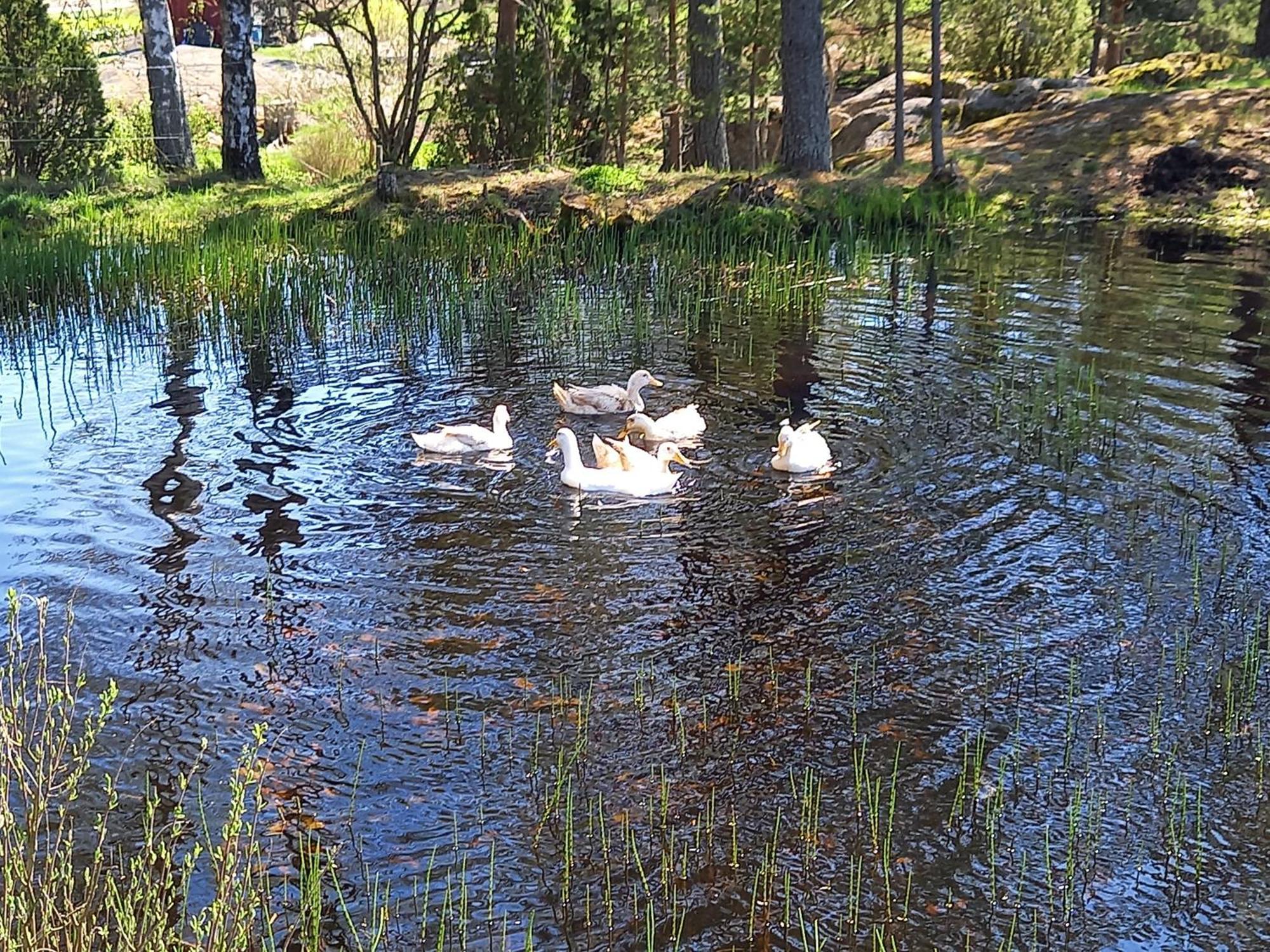 Sommaroe Stugor Föglö Exteriér fotografie